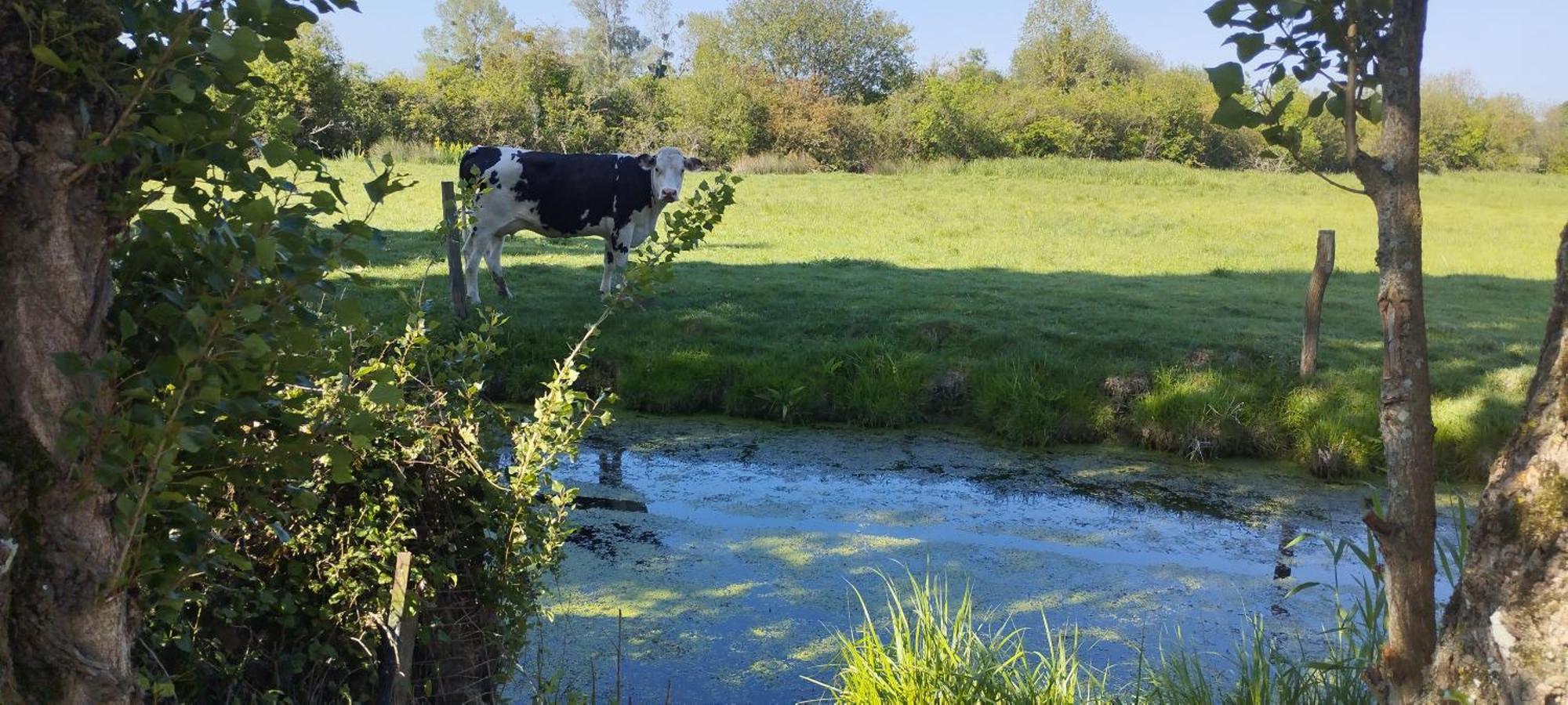 Charmante Maison De Campagne, Avec Jardin, Vue Riviere, 15 Min Cabourg Basseneville Luaran gambar